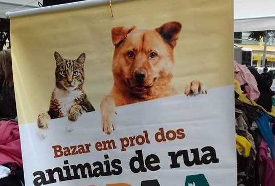 arpaa-hoje