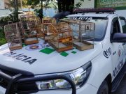 Aves que estavam na varanda de residência são apreendidas em Potim