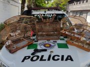 Aves, munições e simulacro de arma de fogo são apreendidos em Guaratinguetá