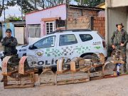 Polícia Ambiental resgata 13 aves nativas de residência em Guaratinguetá