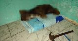 animal morto a marteladas1