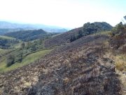 Fazendeira é autuada por utilizar fogo para limpeza de pasto em Cunha