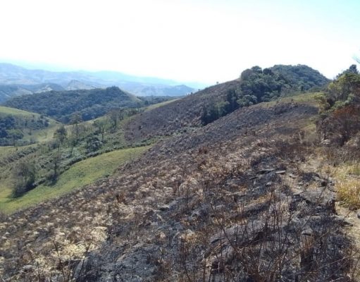 Fazendeira é autuada por utilizar fogo para limpeza de pasto em Cunha