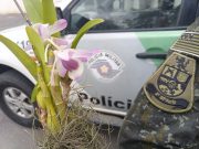 Homem é autuado por venda de Orquídeas em Aparecida