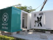 Prefeitura de Potim inicia campanha de castração gratuita