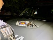 Homem é preso por posse ilegal de arma de fogo em Aparecida
