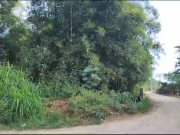 Corpo de homem é encontrado em bambuzal em Guaratinguetá