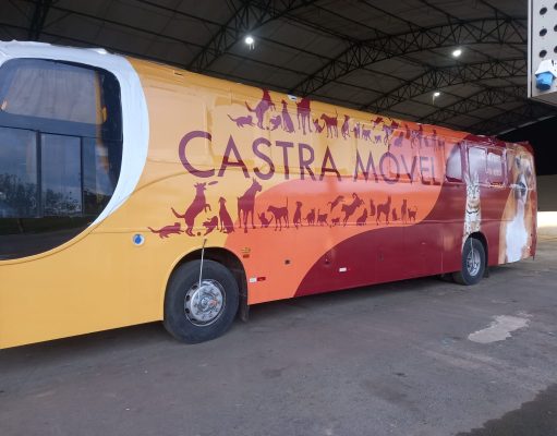 Potim recebe serviço de castração gratuita para gatos em atendimento móvel