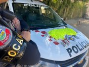 Dois homens são presos por tráfico de drogas em bairros distintos em Guaratinguetá