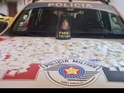 Polícia Militar prende traficante de drogas em Lorena