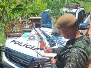 Homem é preso por posse de arma de fogo e entorpecente em Guaratinguetá