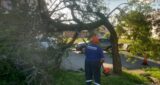 IMG-20250121-WA0071
