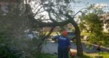 IMG-20250121-WA0071~2