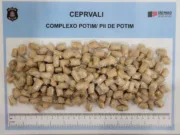 Presídios do Vale do Paraíba e Litoral registram apreensões de drogas com visitantes no sábado de carnaval