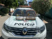 Doze aves foram resgatadas nas cidades de Potim, Canas e Lorena