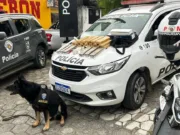 Com apoio do Canil do BAEP, homem é preso com grande quantidade de drogas em Guaratinguetá