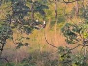 Corpo encontrado enterrado com as pernas amarradas é identificado pela Polícia