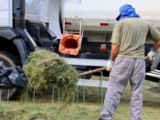 Prefeitura realizará Mutirão contra a Dengue e limpeza no bairro do Pedregulho e adjacentes
