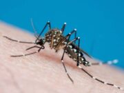 Guaratinguetá registra mais uma morte por Dengue