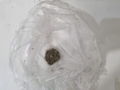 “Vovô” é detido tentando entrar com drogas para o neto preso no CDP