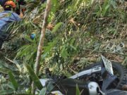 Casal cai em ribanceira com motocicleta na descida da Serra de Ubatuba e mulher perde a vida