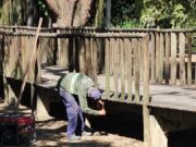 Deck do Bosque da Amizade recebe manutenção em Guaratinguetá