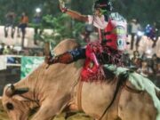 Câmara aprova projeto que autoriza realização de rodeios em Guaratinguetá