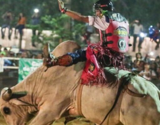 Câmara aprova projeto que autoriza realização de rodeios em Guaratinguetá