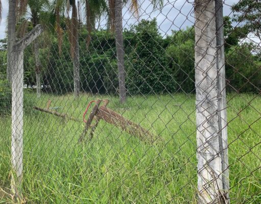 Moradores denunciam abandono e falta de limpeza no Parque Ambiental do Santa Clara