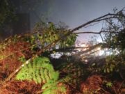 Estradas interditadas: Serra da Tamoios e Oswaldo Cruz são fechadas após fortes chuvas