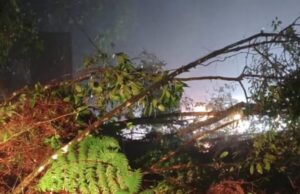 Estradas interditadas: Serra da Tamoios e Oswaldo Cruz são fechadas após fortes chuvas