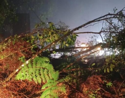 Estradas interditadas: Serra da Tamoios e Oswaldo Cruz são fechadas após fortes chuvas