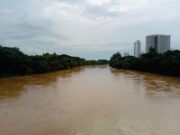 PERIGO: Rio Paraíba ultrapassa cota de alerta e Defesa Civil intensifica monitoramento em Guaratinguetá