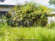 Patrimônio Público Abandonado: Escola Fechada Preocupa Bairro em Guaratinguetá