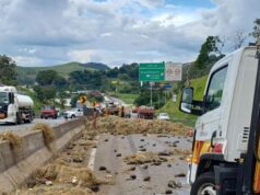 Caminhão com carga de abacaxi colide no km 65, carga é liberada e trânsito registra 5 km de congestionamento
