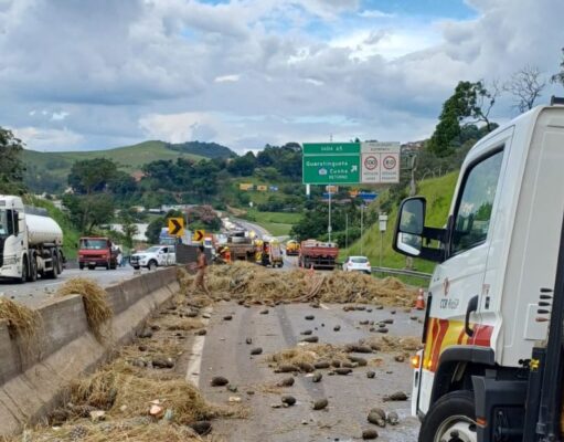 Caminhão com carga de abacaxi colide no km 65, carga é liberada e trânsito registra 5 km de congestionamento