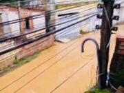 Transbordamento do Ribeirão dos Mottas Causa Alagamento e Indignação no Jardim Tamandaré