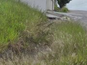 Moradores do Village Santana denunciam abandono e risco de acidentes por falta de limpeza