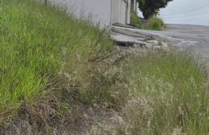 Moradores do Village Santana denunciam abandono e risco de acidentes por falta de limpeza