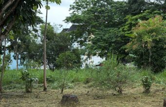 Quem paga para limpar terreno público ganha desconto no IPTU?