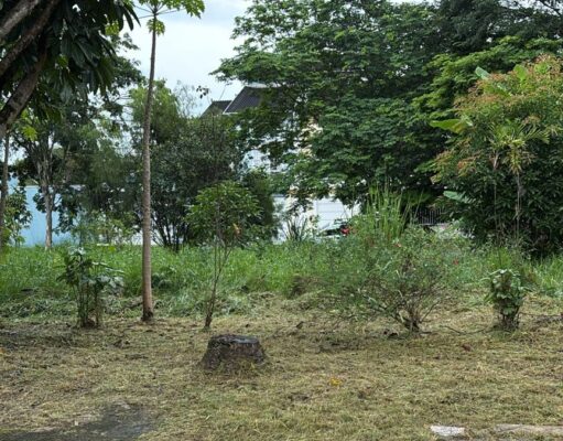 Quem paga para limpar terreno público ganha desconto no IPTU?