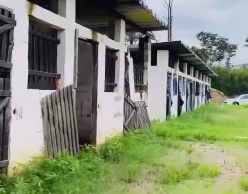 A Decadência da Equoterapia em Guaratinguetá: 50 crianças sem atendimento há quatro meses