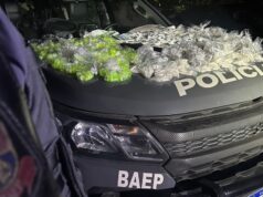 BAEP combate tráfico e prende suspeito com grande quantidade de entorpecentes em Aparecida