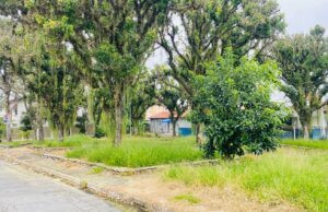 Moradores solicitam revitalização urgente na Praça da Rua Oswaldo Damasceno