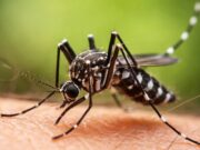 Óbito por febre amarela em Cunha e dois casos em Cruzeiro expõem avanço da doença no Vale do Paraíba