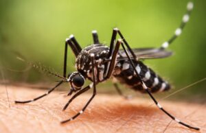 Óbito por febre amarela em Cunha e dois casos em Cruzeiro expõem avanço da doença no Vale do Paraíba