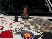 Força Tática Prende Procurado pela Justiça por Tráfico de Drogas e Porte Ilegal de Arma de Fogo em Guaratinguetá