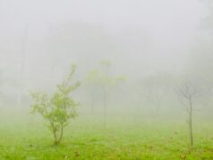 Fim de semana será de tempo firme, manhãs frias e tardes agradáveis em Guaratinguetá