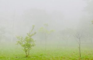 Fim de semana será de tempo firme, manhãs frias e tardes agradáveis em Guaratinguetá