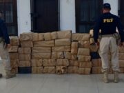 PRF apreende mais de 1,1 tonelada de maconha na Rodovia Presidente Dutra em Queluz